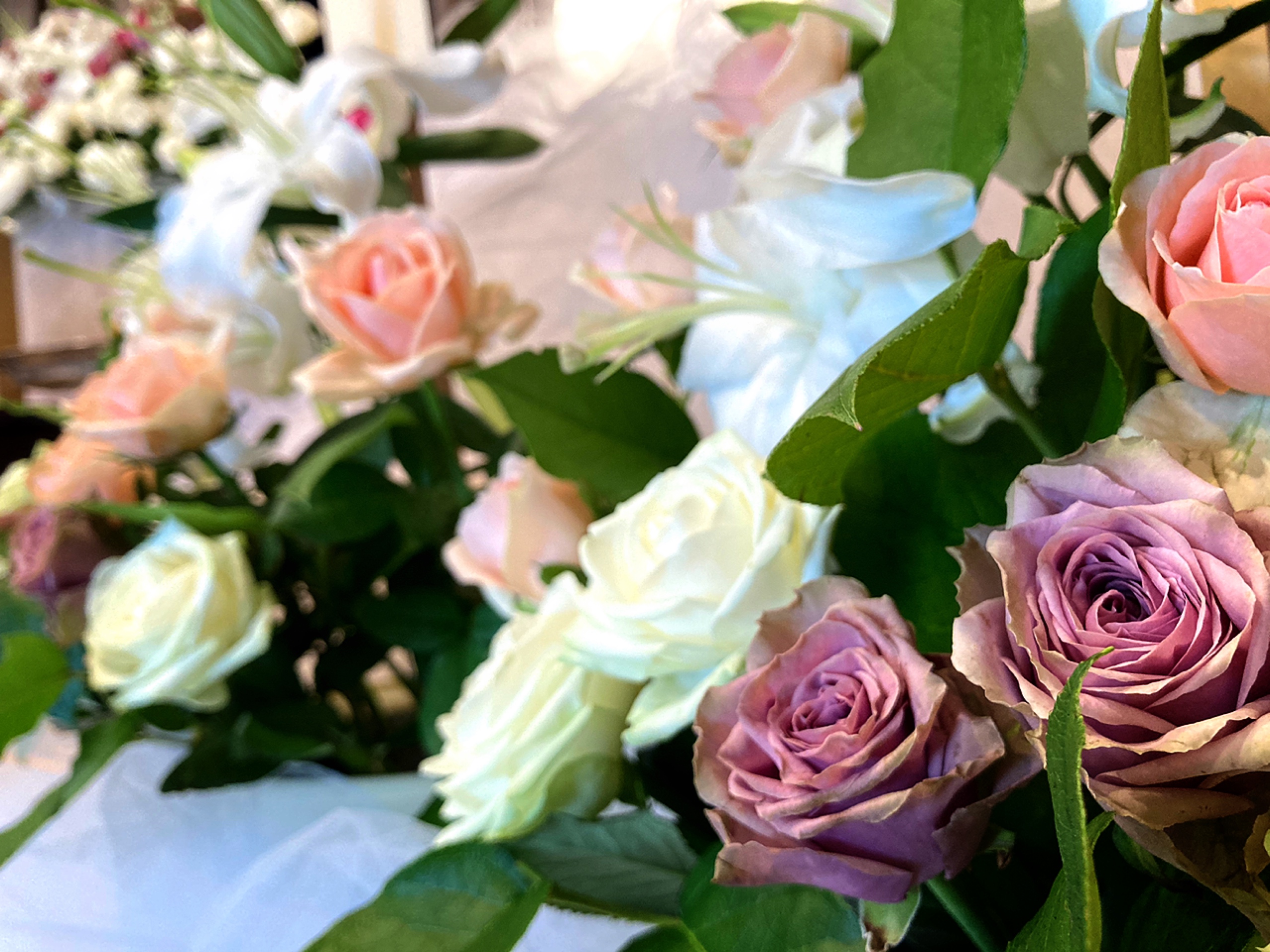 中野区の葬儀は中野区の葬儀社 あすなろ葬祭