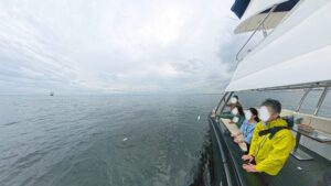 浜港ぷかり桟橋から出航する散骨船の様子