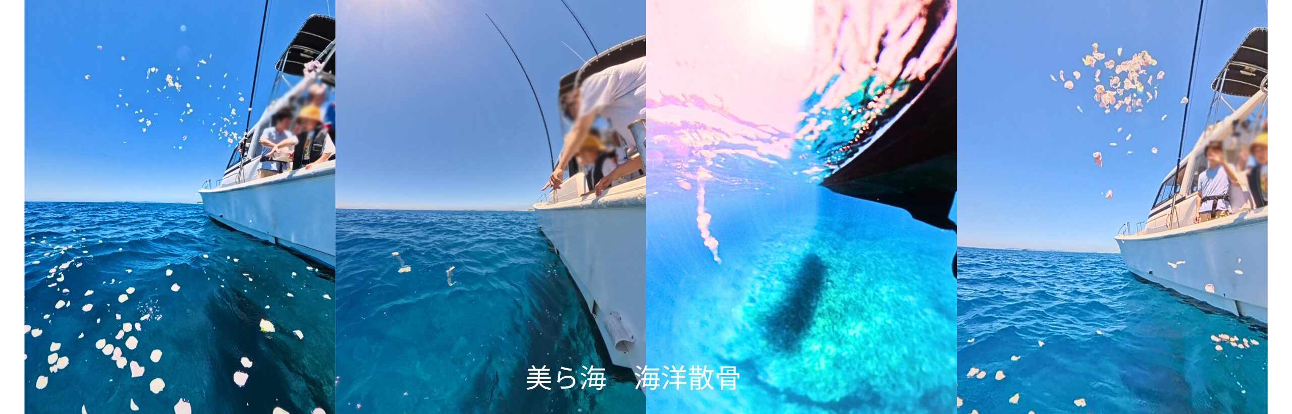 海洋散骨のお別れ